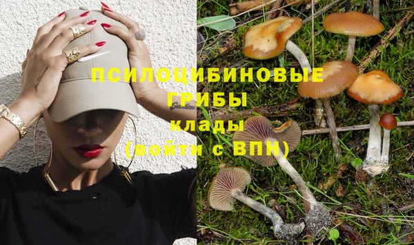 кокс Богородицк