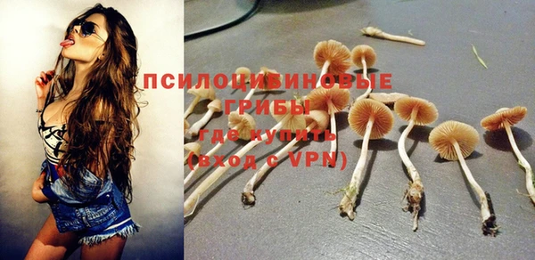 метамфетамин Богданович